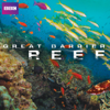 Great Barrier Reef - Great Barrier Reef