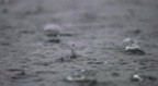 Meditation On Rain - Serene and Tranquil Raindrops Into Water With Music