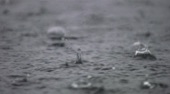 Video artwork for Meditation On Rain - Serene and Tranquil Raindrops Into Water With Music by Nature Sounds