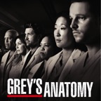 Grey's Anatomy, Staffel 7