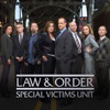 Law & Order: SVU (Special Victims Unit)