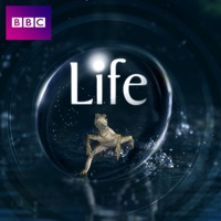 Télécharger Life, Series 1 Episode 9