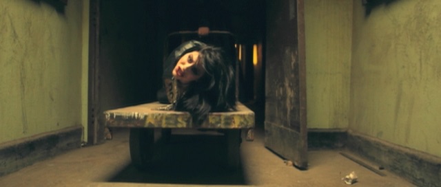 Dead Honey