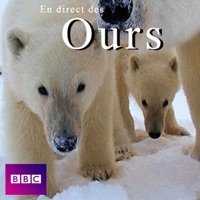 Télécharger En direct des ours Episode 1