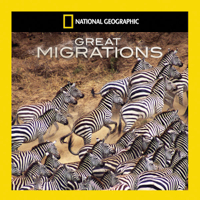 Born to Move - Great Migrations Cover Art