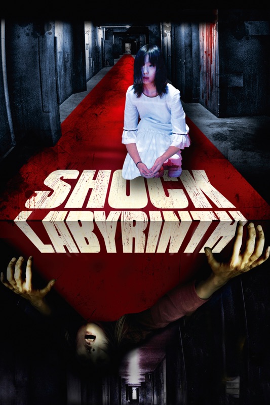 Shock Labyrinth