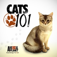 Cats 101, Season 3