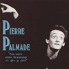 Pierre Palmade - Ma mère aime beaucoup ce que je fais