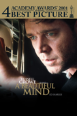 A Beautiful Mind