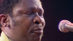I Like to Live the Love (Live In Africa)