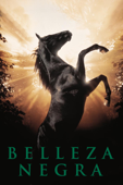 Belleza negra (Un caballo llamado Furia)
