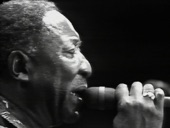 Video artwork for She's Nineteen Years Old by Muddy Waters