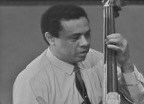 Parkeriana (Live)