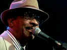 All the Love She Got Belongs to Me - Hubert Sumlin
