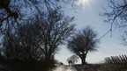 Beethoven: Violin Concerto in D Major Op. 61 - Larghetto