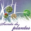 Secrets de plantes