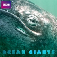Télécharger Ocean Giants, Series 1 Episode 3