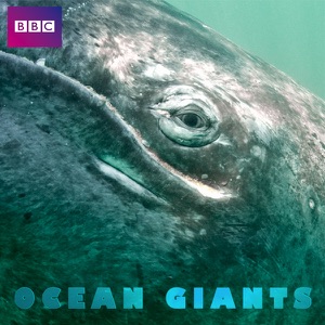 Ocean Giants, Series 1 - Episode 1