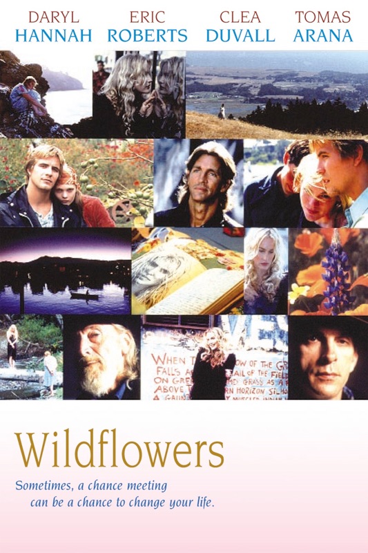 Wildflowers