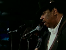 Hand Me Down My Walking Cane - Magic Slim