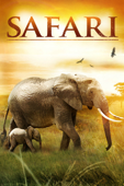 Safari