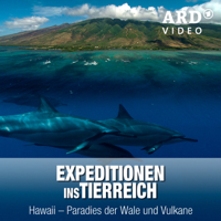 Expeditionen ins Tierreich - Hawaii – Paradies der Wale und Vulkane artwork