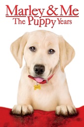 Poster for Marley & Me: The Puppy Years by Michael Damian