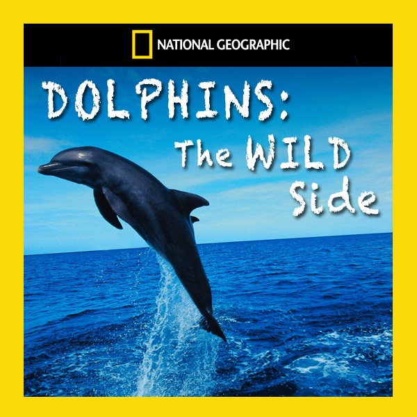Dolphins: The Wild Side