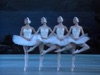 Swan Lake: Cygnet Dance (Extract)