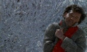 Video artwork for Winter Wonderland by Daniel O'Donnell