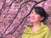 Video artwork for 願わくば桜の下で by 日野美歌