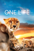 One Life