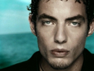 Three Marlenas - The Wallflowers