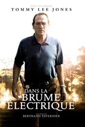 Dans la brume électrique