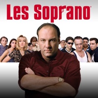 Les Soprano, Saison 1 (VF)