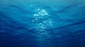 Video artwork for Meditation from Underwater - Relax and Discover Spiritual Healing and Well Being by Nature Sounds