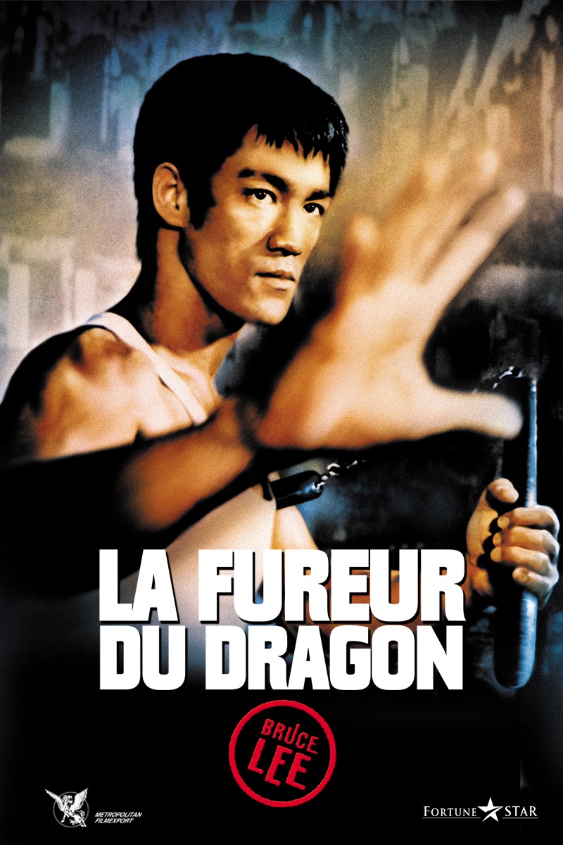 LA FUREUR DU DRAGON