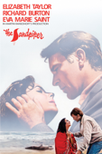 The Sandpiper (1965)