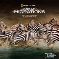 Great Migrations