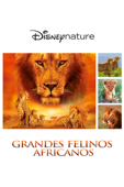 Grandes felinos Africanos