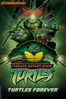 Teenage Mutant Ninja Turtles: Turtles Forever - Roy Burdine & Lloyd Goldfine