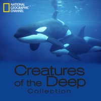Creatures of the Deep