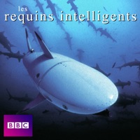 Télécharger Les requins intelligents Episode 1