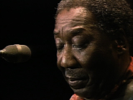 Baby Please Don't Go - Muddy Waters