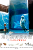 旭山動物園物語 ペンギンが空をとぶ - マキノ雅彦