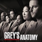 Grey's Anatomy, Staffel 8