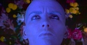 Video artwork for Flowers Become Screens by Delerium & Kristy Thirsk