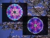 Video artwork for ジムノペディ第1番 煌めく！オルゴール・ミュージック by Brilliant Orgel Sound