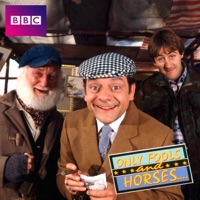 Only Fools and Horses, The Specials, Vol. 1