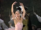The Sleeping Beauty: "The Rose Adagio" (Extract)